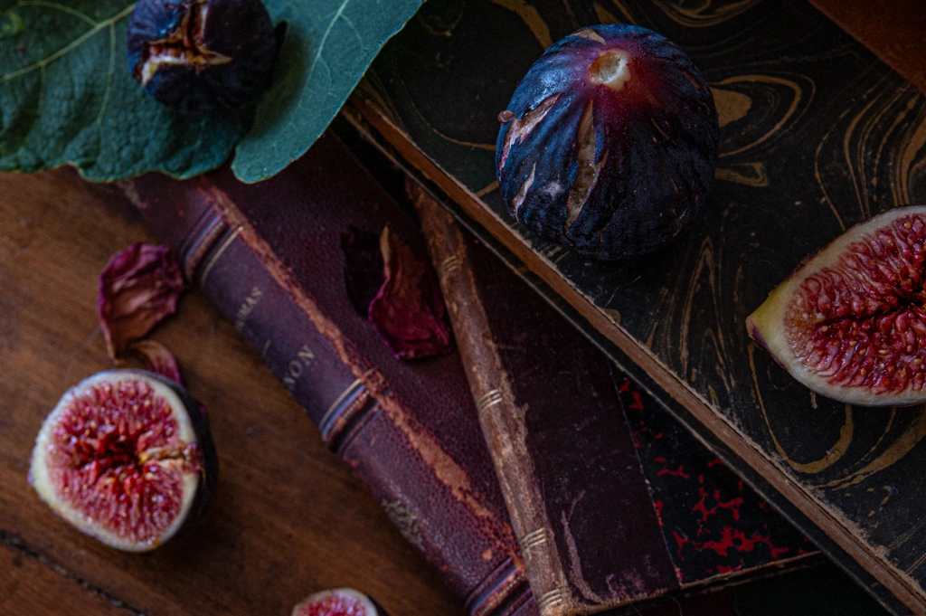 Photographie authentique– Cépia Photographie