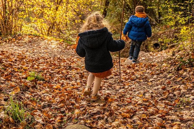 Enfants de dos marchant dans les feuilles d'automne