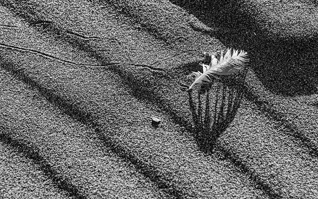 photographie en noir et blanc d'une plume blanche posée sur du sable ondulé